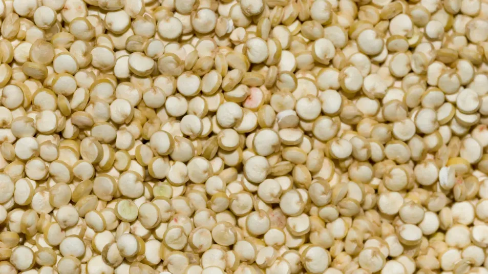 Quinoa Seeds